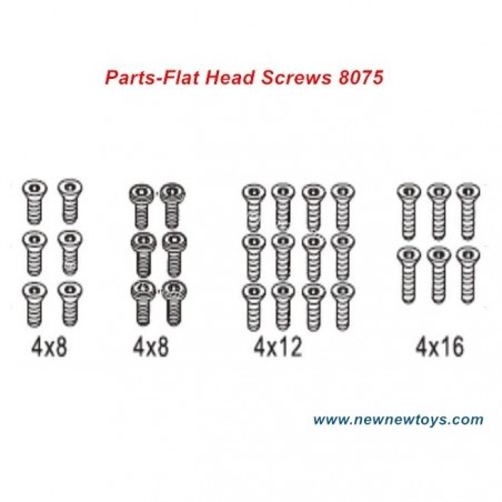 ZD Racing DBX 07 Screws Parts-8075