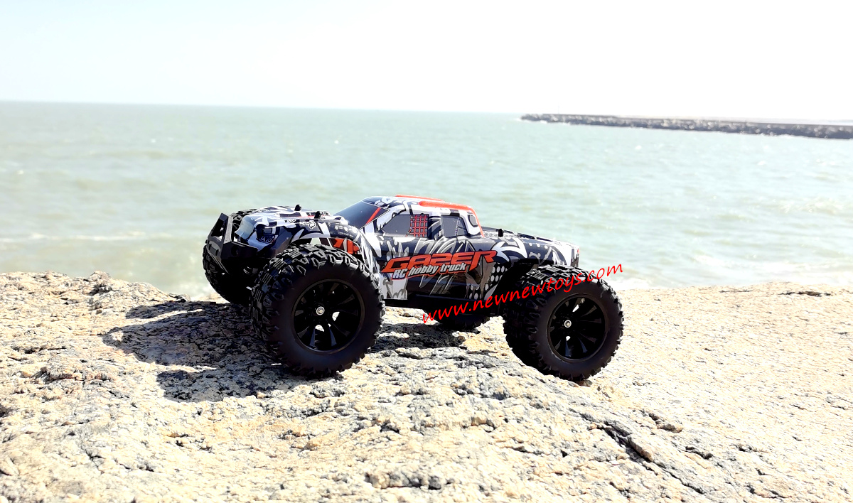 Enoze 001E Brushless RC Model Car